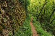 sentier