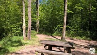 Forêt