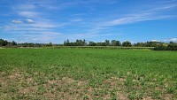 Zone agricole