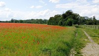 Zone agricole