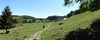 Balade ferme-auberge Gresson : Balade le long des murs de pierres
