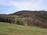 Balade ferme-auberge Gresson : Balade le long des murs de pierres
