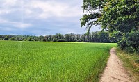 Paysage