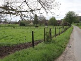IMG_7899