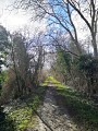 Verdure et ancienne ligne de chemin de fer