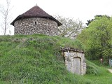 IMG_7952