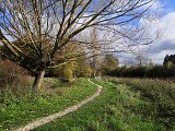 IMG_20231115_115652
