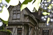 _DSC0667