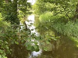 Sentier de la Moder