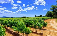 Rando Via Domitia PINET