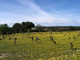 Rando de la Via Domitia0008 ©CDRP34