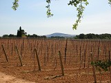 Rando de la Via Domitia0005 ©CDRP34