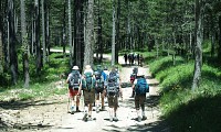 Forêt domaniale de Notre-Dame-de-Parlatges @CDRP34 CDRP.