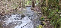 Cascade de la Nize1_SV