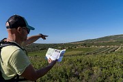 Montbazin - rando collines de la Moure-5 © M. Ricard - OT Thau