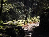 Rando Gorges de Colombieres - Gilles Delerue 11