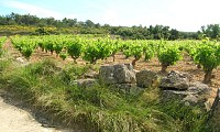 PR52 - LES MOURELS