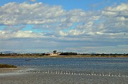 Rando des Salines0002 ©CDRP34