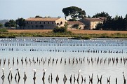 PR05 - LES SALINES