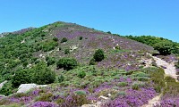 Rando_Roquandouire_-_Gilles_Delerue_15