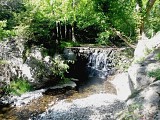 Le Devois-sous-bois-ruisseau
