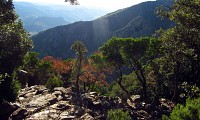 sentier des gardes 1 - Gilles Delerue