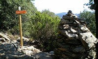 St-Martin_de_Larcon_-_E_Brendle_1
