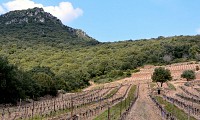 Rando Ayrolle - Gilles Delerue 25