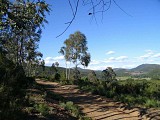 Rando-du-bois-des-Eucalyptus0001--CDRP34-2