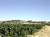 Rando du Puech Belet0004 ©CDRP34