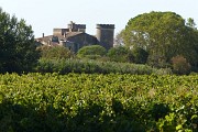 Rando des châteaux du muscat de Lunel0002 ©CDRP34