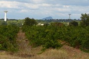 Rando des châteaux du muscat de Lunel0003 ©CDRP34