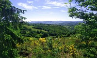 Rando Roqueredonde - Gilles Delerue 10