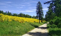 Rando Roqueredonde - Gilles Delerue 11