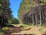 Plateau du Grézac