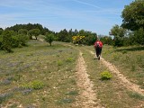 Rando du plateau du Grézac0014 ©CDRP34