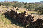 Rando bes bois de Homs et de Latude0004 ©CDRP34