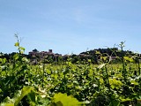 Rando des Fontaines et des Lavoirs0005 ©Gilles Delerue - ADT34
