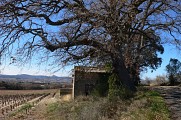 Rando des Fontaines et des Lavoirs0004 ©CDRP34