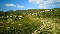 Vignobles_de_Montpeyroux_-_Eric_Brendle_2