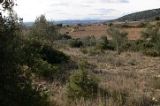 Rando des balcons de l'Hérault0007 ©CDRP34