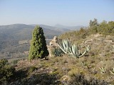 Rando du sentier des Garrigues0023 ©CDRP34