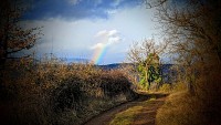 Salasc - sentier des Béals 16 @ Gilles Delerue