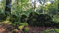 Rando des Planques0010 ©Gilles Delerue - ADT34