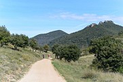 oenorando st saturnin 2 @ Gilles Delerue