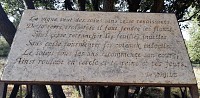 Rando_St_Saturnin_Roc_des_2_vierges_M_Sanz (10)