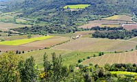 PR VISSOU 5 @ Gilles Delerue