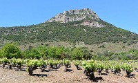 PR VISSOU 7 @ Gilles Delerue