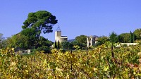Vignobles_de_Montpeyroux_-_E_Brendle4