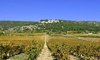 Vignobles_de_Montpeyroux_-_E_Brendle8